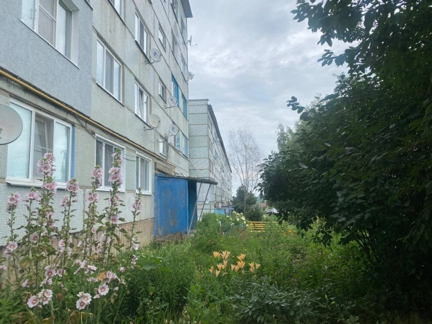 Купить двухкомнатную квартиру на улице Молодёжная в Пензенской области. Вариант № 238296, 9, площадь - квм, цена 1250000 рублей