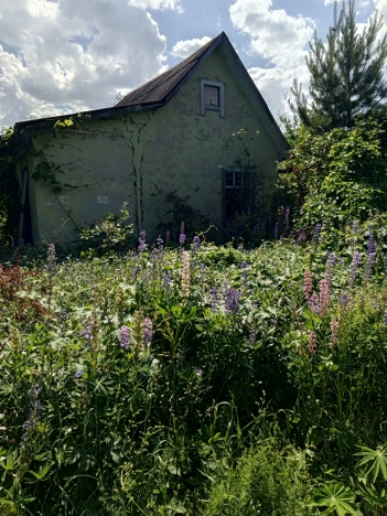 Купить земельный участок в Пензенской области. Вариант № 42718, 2, площадь -  квм, цена 250000 рублей