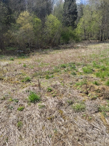 Купить земельный участок в Вологодской области. Вариант № 46210, 1, площадь -  квм, цена 390000 рублей