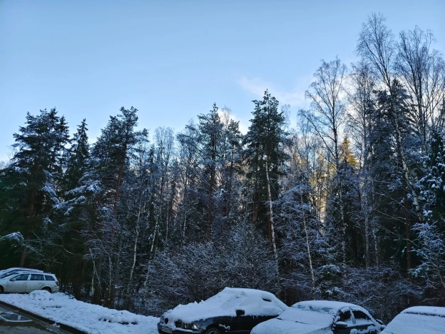 Купить однокомнатную квартиру в Санкт-Петербурге. Вариант № 9615841, 32, площадь -  квм, цена 5100000 рублей