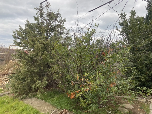 Купить земельный участок в Республике Крым. Вариант № 20556, 11, площадь -  квм, цена 5000000 рублей