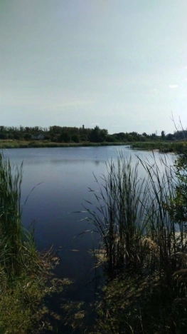 Купить дом в Москве. Вариант № 9581514, 2, площадь - квм, цена 1600000 рублей