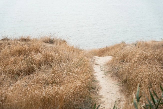 . Вариант № 6429, 11, площадь - 62 квм, цена 4999999 рублей