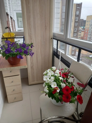 . Вариант № 56379, 4, площадь - 76.6 квм, цена 11990000 рублей