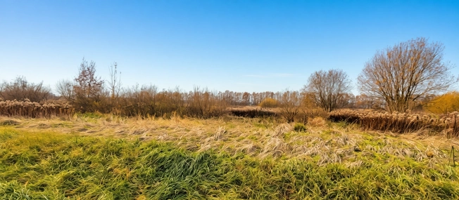 Купить земельный участок в Калининграде. Вариант № 8755964, 16, площадь -  квм, цена 88900000 рублей