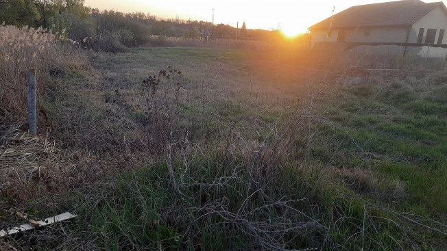 Купить земельный участок в Белгородской области. Вариант № 8050697, 5, площадь -  квм, цена 1100000 рублей