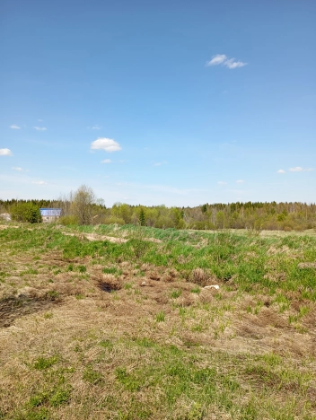 Купить земельный участок в Республике Коми. Вариант № 46055, 2, площадь -  квм, цена 240000 рублей