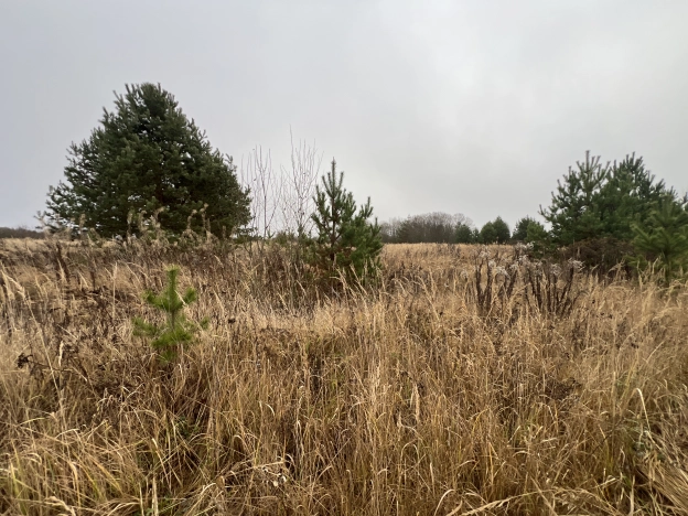 Купить земельный участок в Владимире. Вариант № 8923449, 18, площадь -  квм, цена 550000 рублей