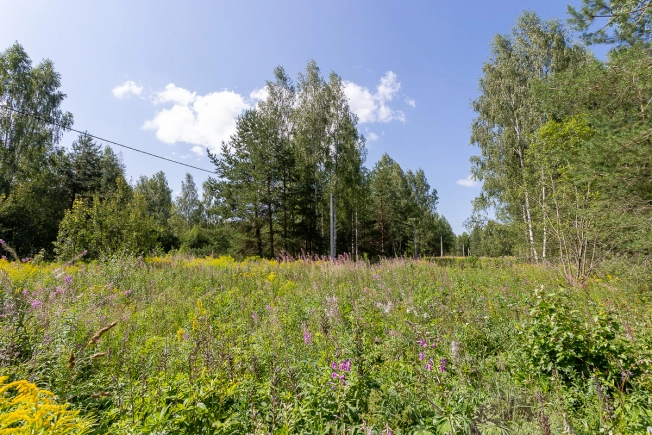 Купить земельный участок на улице Большая Лукинская в Владимире. Вариант № 14006, 1, площадь -  квм, цена 1000000 рублей