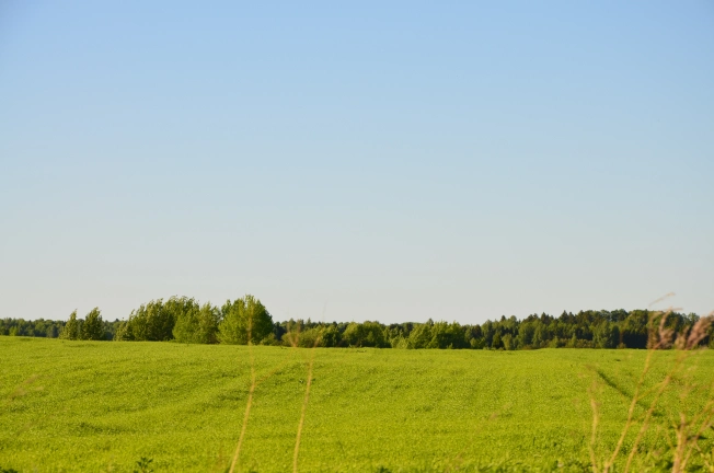 Купить земельный участок на улице Белые Ночи в Вологодской области. Вариант № 7075, 2, площадь -  квм, цена 319800 рублей