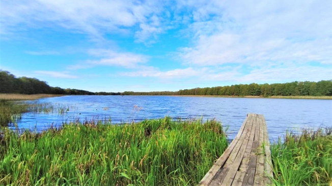Купить земельный участок в Коврове. Вариант № 7637042, 2, площадь -  квм, цена 330000 рублей