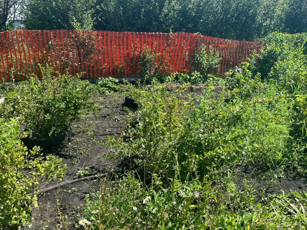 Купить земельный участок в Стерлитамаке. Вариант № 10718, 2, площадь -  квм, цена 350000 рублей