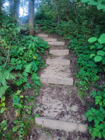 Купить дачу в Москве. Вариант № 7645049, 17, площадь -  квм, цена 4200000 рублей