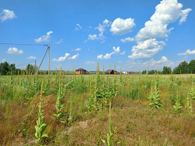 Купить земельный участок в Ярославской области. Вариант № 13265, 1, площадь -  квм, цена 1068300 рублей