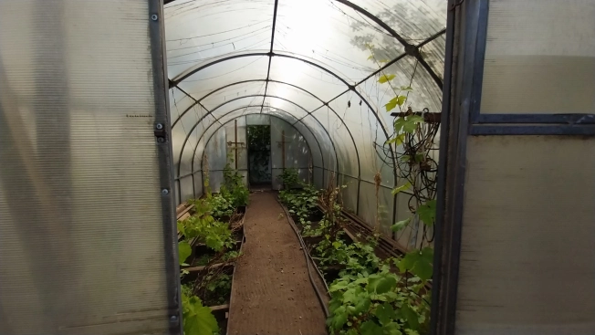 Купить дачу в Иркутской области. Вариант № 55685, 12, площадь -  квм, цена 2599000 рублей