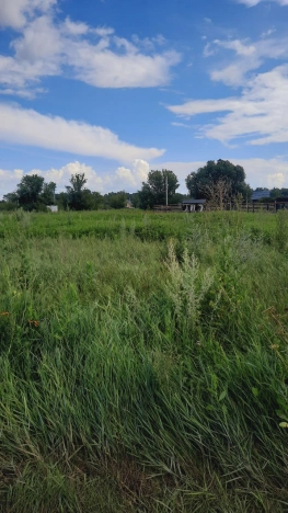 Купить земельный участок в Воронеже. Вариант № 457479, 4, площадь -  квм, цена 630000 рублей