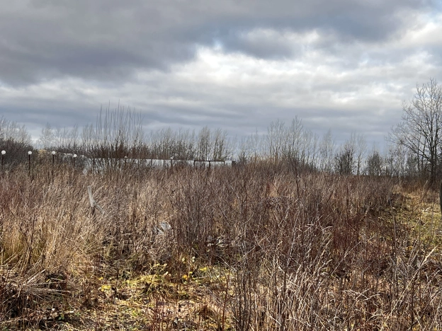 Купить земельный участок в Владимире. Вариант № 9967352, 0, площадь -  квм, цена 2700000 рублей