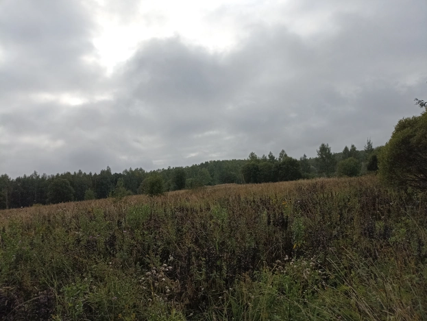 Купить земельный участок в Тульской области. Вариант № 10865, 0, площадь -  квм, цена 150000 рублей