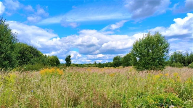 Купить земельный участок в Владимире. Вариант № 221397, 1, площадь -  квм, цена 200000 рублей