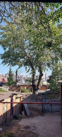 Купить четырехкомнатную квартиру в районе Кировский в Ростове-на-Дону. Вариант № 527854, 11, площадь -  квм, цена 5800000 рублей