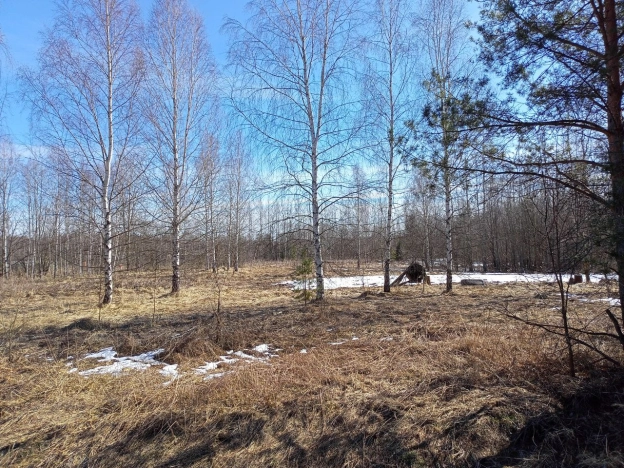 Купить земельный участок в Нижегородской области. Вариант № 32335, 0, площадь -  квм, цена 680000 рублей