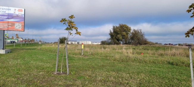 Купить земельный участок в Калининграде. Вариант № 11604, 12, площадь - квм, цена 30000000 рублей
