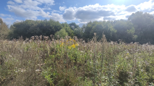 Купить земельный участок в Коломне. Вариант № 3746220, 4, площадь -  квм, цена 1300000 рублей