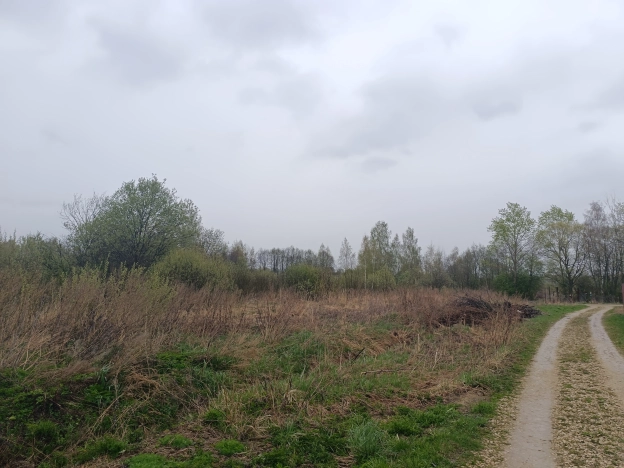 Купить земельный участок на улице Брусничная в Собинке. Вариант № 40408, 11, площадь -  квм, цена 550000 рублей