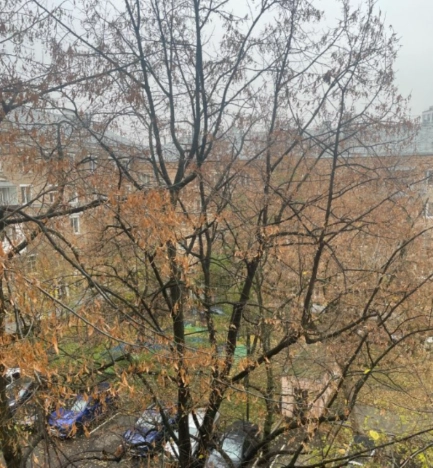 Купить квартиру в Москве. Вариант № 9122535, 1, площадь -  квм, цена 19900000 рублей