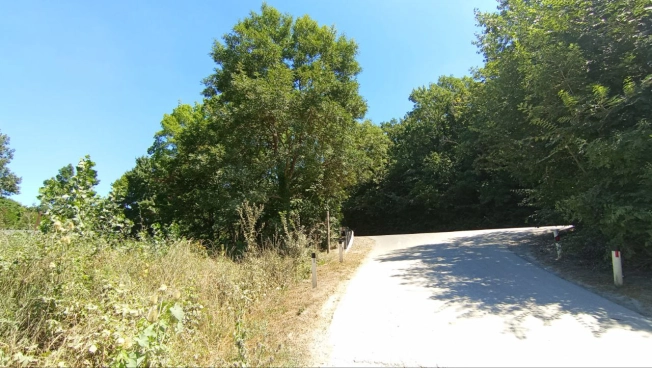 Купить земельный участок в Новороссийске. Вариант № 596737, 6, площадь -  квм, цена 11998000 рублей