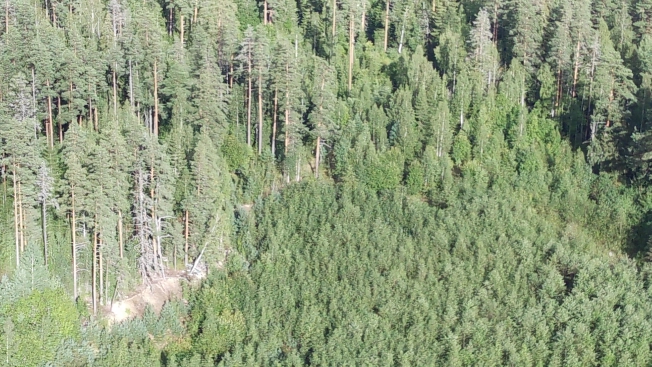 Купить земельный участок в Республике Карелия. Вариант № 5242343, 26, площадь -  квм, цена 800000 рублей