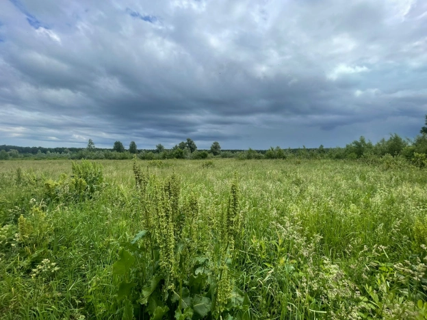 Купить земельный участок в Новосибирске. Вариант № 50415, 5, площадь -  квм, цена 350000 рублей