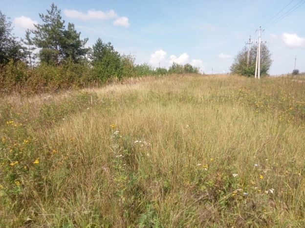 Купить земельный участок на улице 1-й Авиационный проезд в Рязани. Вариант № 2059067, 0, площадь -  квм, цена 500000 рублей