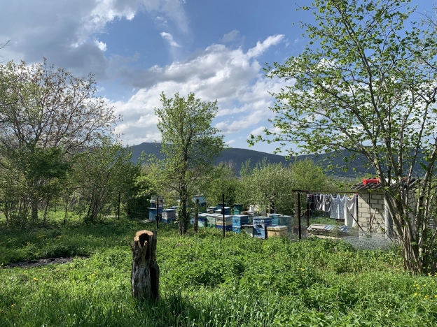 Купить земельный участок в Республике Адыгея (адыгея). Вариант № 35198, 6, площадь -  квм, цена 5000000 рублей