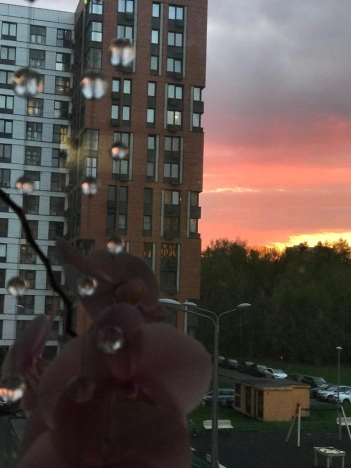 Купить квартиру в Москве. Вариант № 8939325, 37, площадь - квм, цена 25900000 рублей