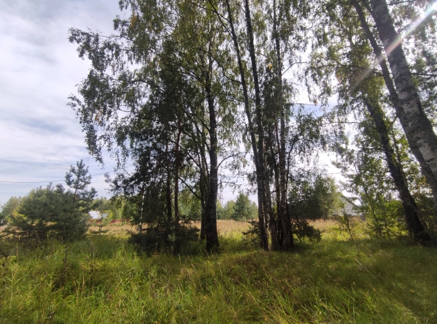 . Вариант № 4040, 5, площадь -  квм, цена 275000 рублей