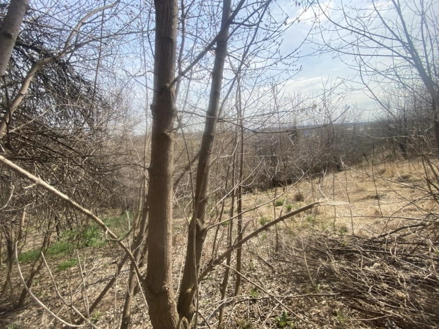 Купить земельный участок у метро Московская в Нижнем Новгороде. Вариант № 37213, 5, площадь -  квм, цена 4800000 рублей