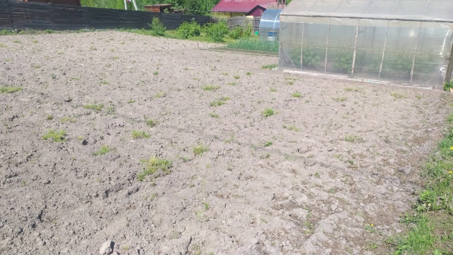 Купить земельный участок в Новосибирске. Вариант № 46029, 6, площадь -  квм, цена 2250000 рублей