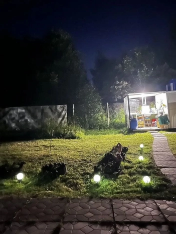 Купить дачу в Воскресенске. Вариант № 9584446, 6, площадь -  квм, цена 2000000 рублей