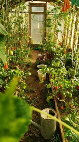 Купить дачу в Коврове. Вариант № 1207660, 7, площадь -  квм, цена 1200000 рублей