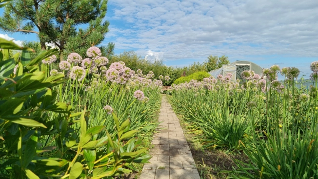 Купить дом на улице Донская в Липецкой области. Вариант № 2723, 38, площадь -  квм, цена 9900000 рублей