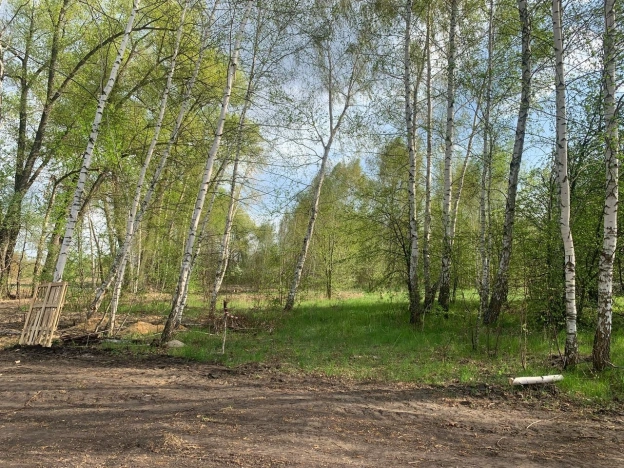 Купить земельный участок в Воронеже. Вариант № 28527, 4, площадь -  квм, цена 1110000 рублей