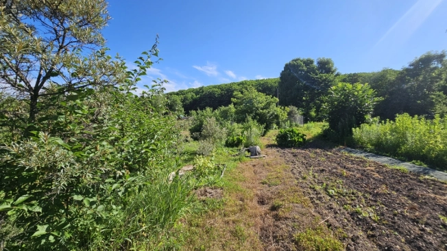 Купить земельный участок в Арсеньеве. Вариант № 59815, 12, площадь -  квм, цена 1050000 рублей