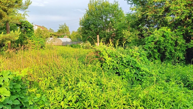 Купить земельный участок в Брянской области. Вариант № 51773, 14, площадь - квм, цена 450000 рублей