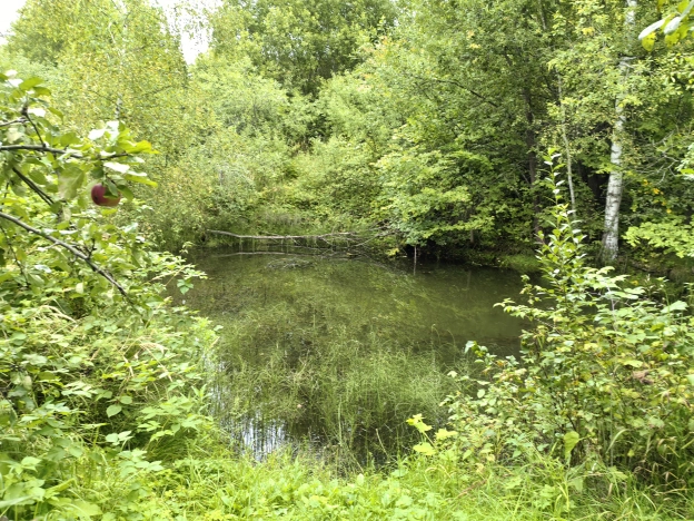 Купить дом на улице Кирова в Нижегородской области. Вариант № 3091167, 10, площадь -  квм, цена 600000 рублей