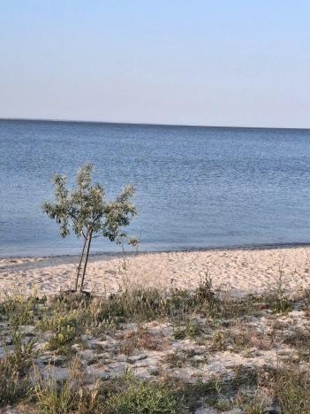 Купить двухкомнатную квартиру в Краснодарском крае. Вариант № 2400130, 21, площадь -  квм, цена 5950000 рублей