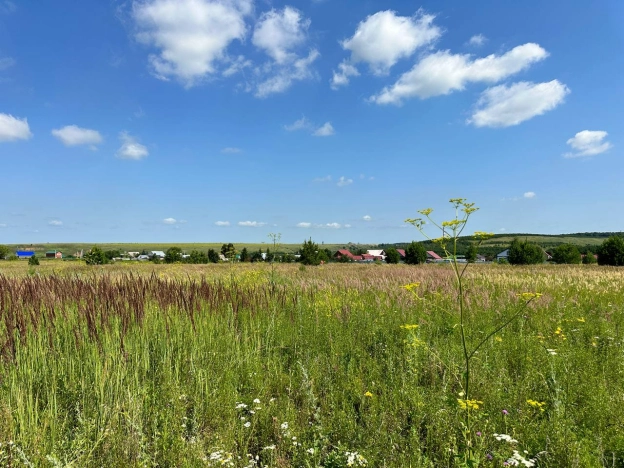 Купить земельный участок на улице Малиновая в Республике Татарстан (татарстан). Вариант № 1577389, 0, площадь -  квм, цена 2300000 рублей
