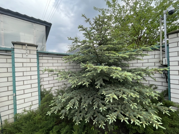 Купить дом в Воронеже. Вариант № 44262, 42, площадь -  квм, цена 18900000 рублей