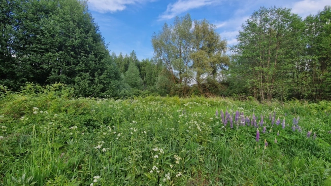 Купить земельный участок в Владимире. Вариант № 9319937, 1, площадь -  квм, цена 1900000 рублей