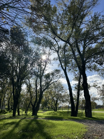 Купить квартиру на улице Обрывная в Краснодаре. Вариант № 7544309, 39, площадь -  квм, цена 7350000 рублей